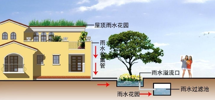 雨水收集系統的幾種類型知道嗎？由哪些結構組成？